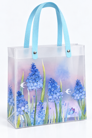Transparent Gift Bag (Blue)